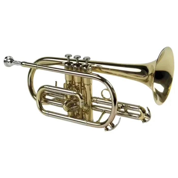 Cornet SML CO50