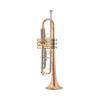 Trompette Jupiter JTR700