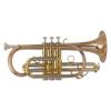 Cornet MTP 300G